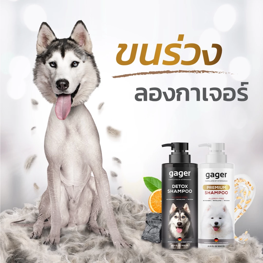 Gager (กาเจอร์) แพ็คคู่ (500ml.)  แชมพูหมาสูตรDetox