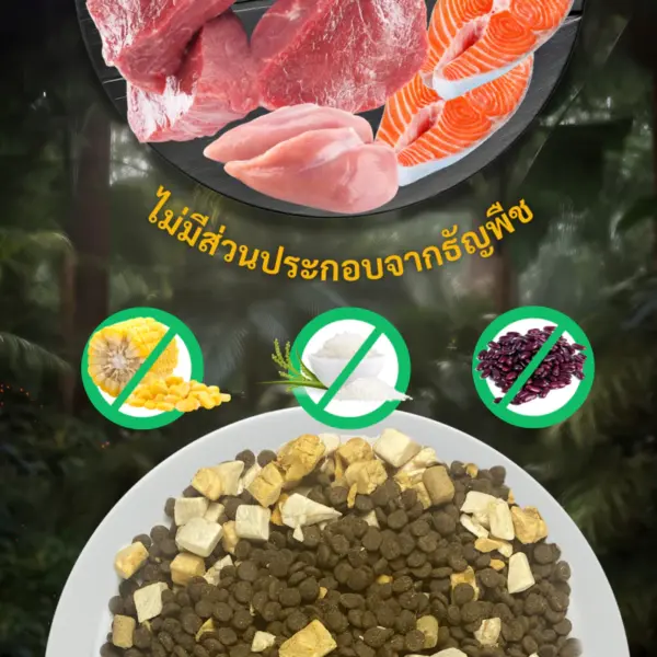 Bite of Wild อาหารแมว 5kg Grain Free โปรตีน 42% - Image 2