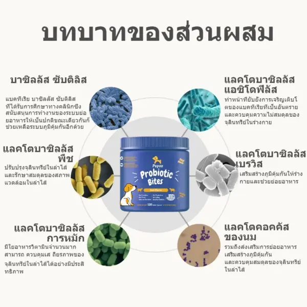 Popoo โปรไบโอติกสำหรับสุนัข Probiotic for Dogs Gut Health - Image 3