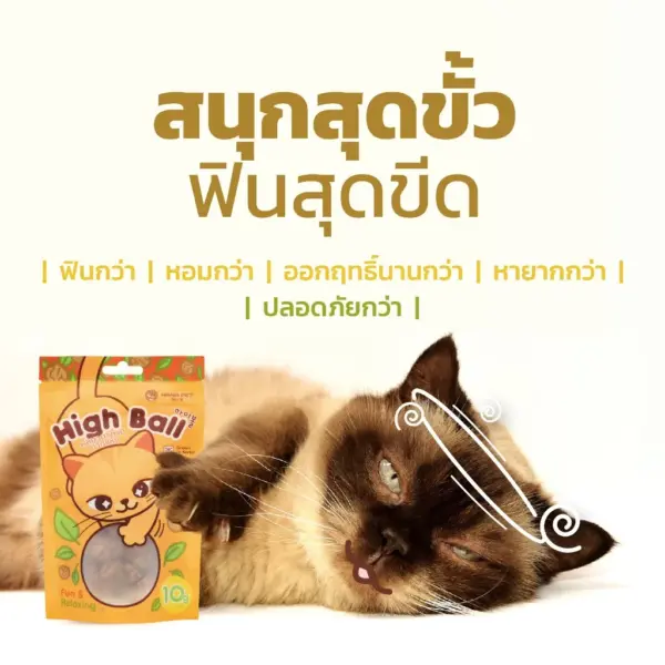 Hana Pet [แพ็ค 10 กรัม] ผลแมวฟิน ผลมาตาตาบิสด ตากแห้ง ออร์แกนิค สำหรับน้องแมว จากเกาหลี