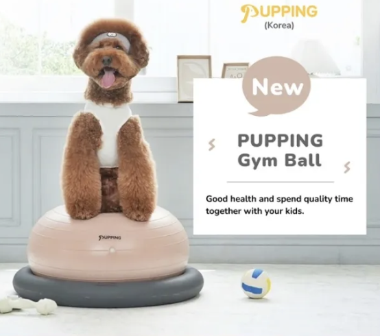 Pupping Gymball ( ลูกบอลโดนัท สำหรับออกกำลังกายของสุนัข น้องหมา )