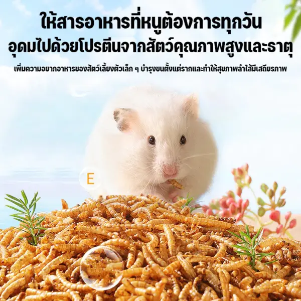 Nocolo อาหารหนูแฮมเตอร์ 1500 ml - Image 2