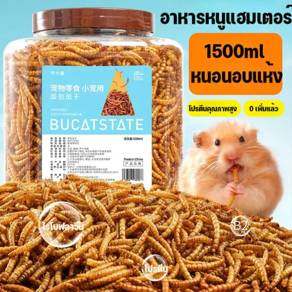 Nocolo อาหารหนูแฮมเตอร์ 1500 ml - Image 3